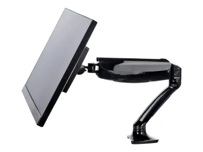 Iiyama DS3001C-B1