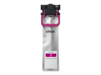 Epson C13T01C300