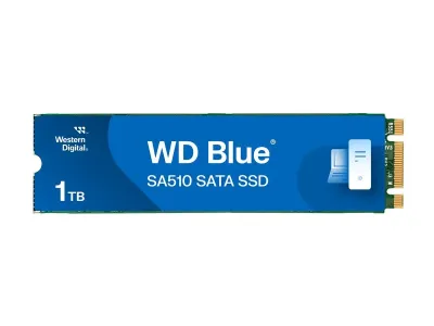 WD Blue SA510 WDS100T3B0B-00AXS0