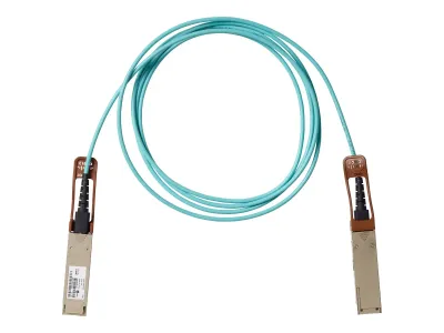 Cisco QSFP-100G-AOC1M=