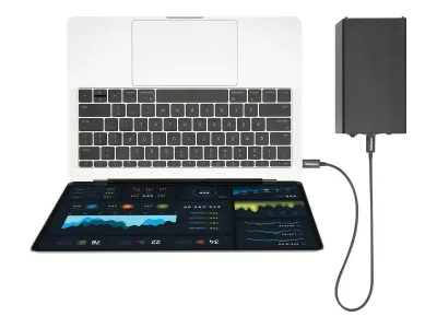 StarTech Câble Thunderbolt 3 (40 Gb/s) USB-C de 50 cm