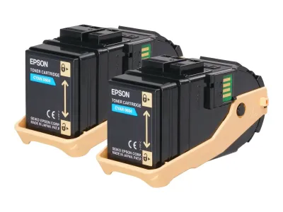 Epson Double Pack