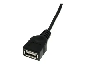 StarTech .com Câble Mini USB 2.0 de 30cm - miniature 4
