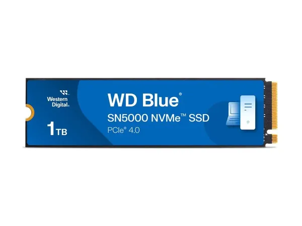 WD Blue SN5000 WDS100T4B0E