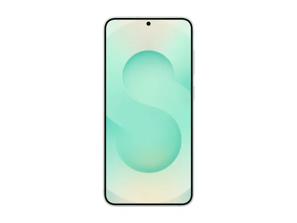 Samsung Galaxy S25