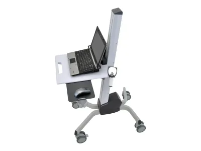 Ergotron Neo-Flex