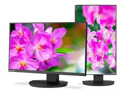 Sharp DDEA241F