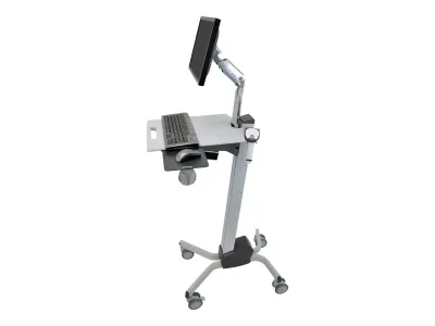 Ergotron Neo-Flex