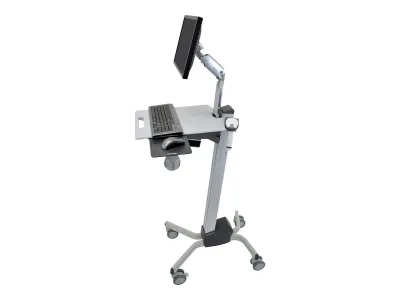 Ergotron Neo-Flex