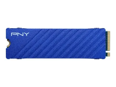 PNY CS2341
