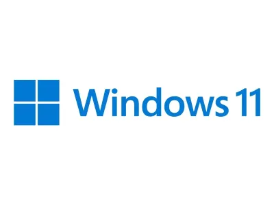 Windows 11 Professionnel