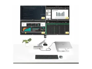 StarTech .com Dock Thunderbolt 4 pour Écrans Multiples, 2x HDMI/2x DP, USB - miniature 1