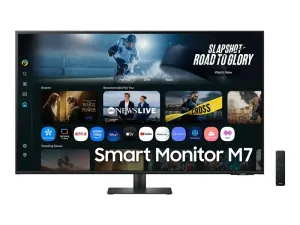 Samsung S43FM702UU - miniature 5