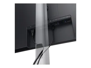 Dell Pro P P3426WEB - miniature 3