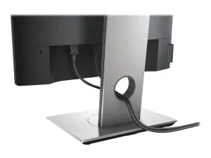 Dell P1917S - miniature 2