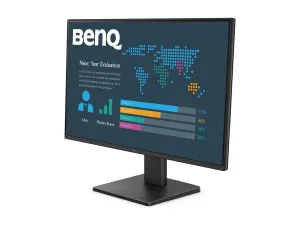 BenQ BL2491P - miniature 3