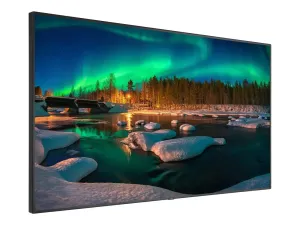 NEC MultiSync C981Q SST - miniature 2