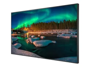 NEC MultiSync C981Q SST - miniature 3