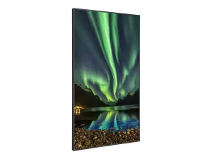 NEC MultiSync C981Q SST - miniature 5