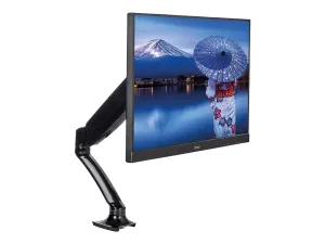 Iiyama DS3001C-B1 - miniature 5