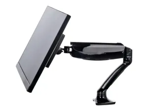 Iiyama DS3001C-B1 - miniature 1