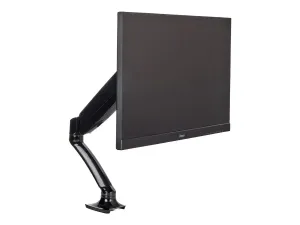 Iiyama DS3001C-B1 - miniature 2