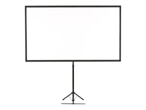 Epson ELPSC21 - miniature 1