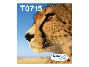 Epson T071 Easy Mail Packaging - miniature 4