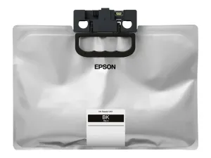 Epson C13T01D100