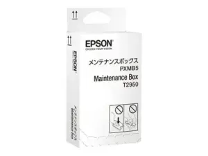 Epson C13T295000 - miniature 2