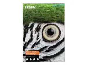 Epson Fine Art - miniature 2