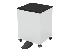 Epson Medium - miniature 2