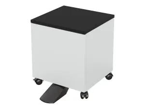 Epson Low - miniature 2
