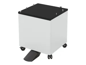 Epson Low - miniature 5