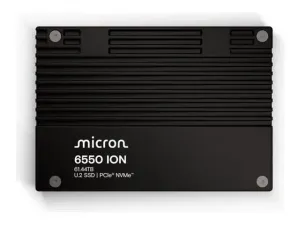 Micron 6550 ION - miniature 1