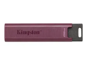 Kingston DataTraveler Max - miniature 2