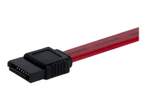 StarTech .com Câble SATA Serial ATA 30 cm - miniature 4