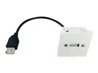 Plastron - miniature 2