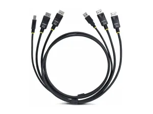 StarTech .com 6ft (1.8m) Dual-DisplayPort and USB 5Gbps KVM Cable - miniature 1
