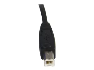 StarTech .com Câble pour Switch KVM VGA avec USB 2 en 1 - miniature 1