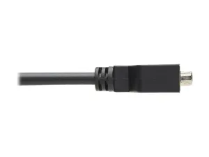 Eaton Tripp Lite Series DisplayPort to DVI-I Adapter Cable (M/F), 6 in. (15.2 cm) - miniature 4