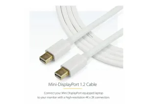 StarTech .com Câble blanc Mini DisplayPort 3 m - miniature 4