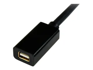 StarTech .com Câble d'extension vidéo Mini DisplayPort de 91 cm - miniature 5