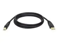 Eaton Tripp Lite Series USB 2.0 A to B Cable (M/M), 6 ft. (1.83 m) - miniature 2