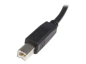 StarTech .com Câble USB 2.0 A vers B de 2 m - miniature 3