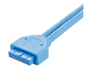 StarTech .com Câble adaptateur USB 3.0 IDC 20 broches vers plaque à 2 ports USB A encastrés - miniature 4