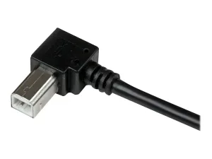 StarTech .com Câble USB 2.0 Type A vers USB Type B Coudé à droite Mâle / Mâle - miniature 5