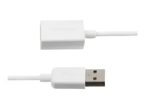 StarTech .com Câble Rallonge USB 1m - miniature 5