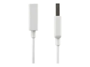 StarTech .com Câble Rallonge USB 1m - miniature 3