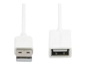 StarTech .com Câble Rallonge USB 1m - miniature 4
